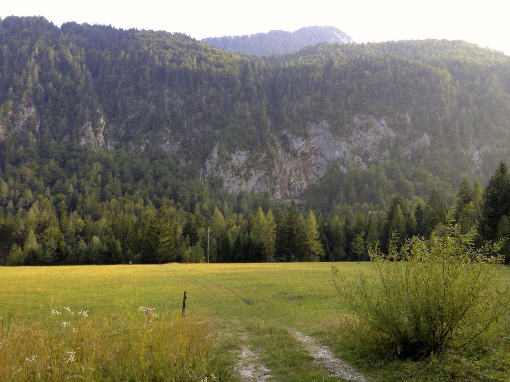 Apartment Brina Kranjska Gora Eksteriør bilde